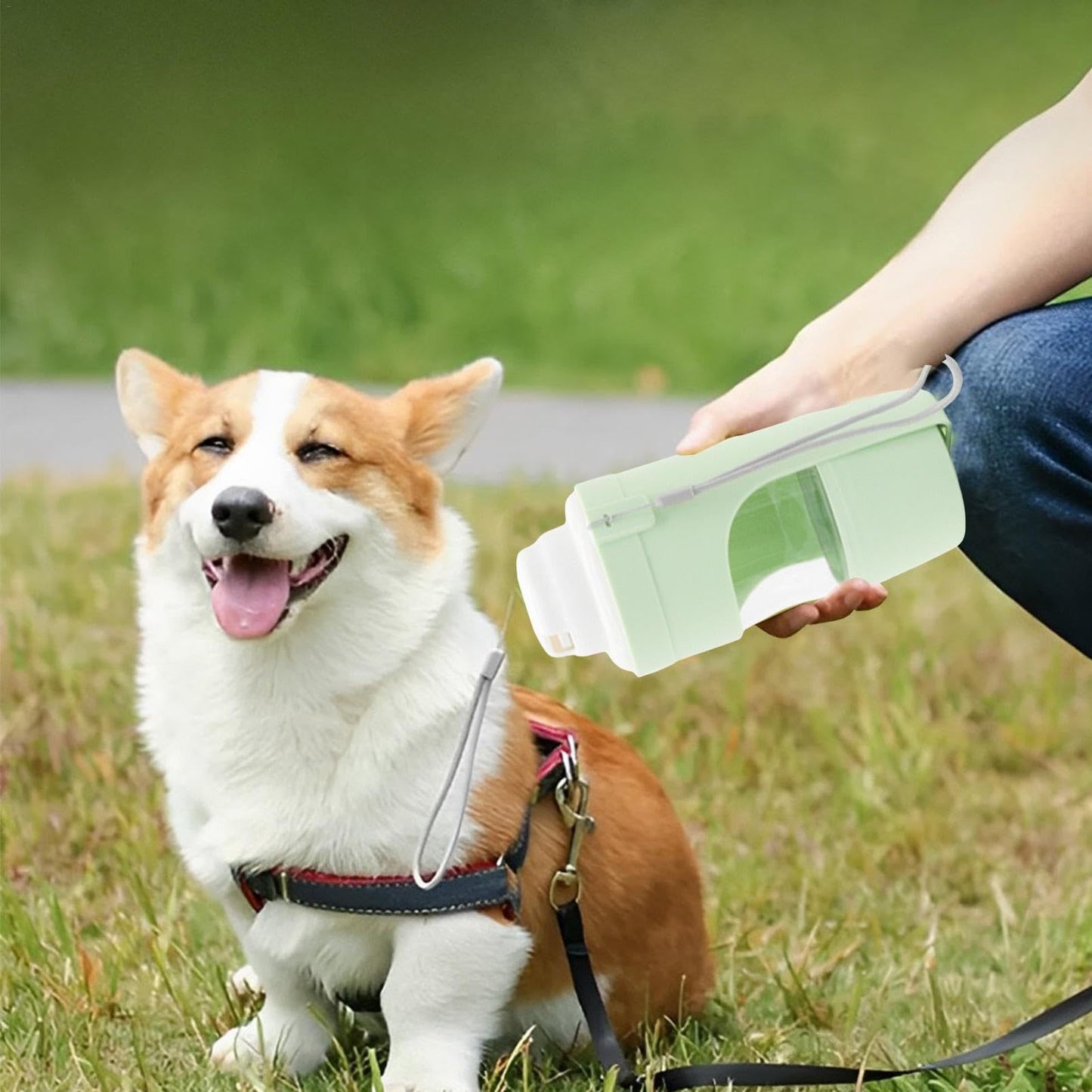 2 In 1 Viaggio Bottiglia d'acqua per cani Animale domestico Distributore d'acqua Alimentatore Alimentatore per bere Alimentatore per acqua di uscita per cani Animali domestici Tazza portatile per esterni Prodotti per animali domestici