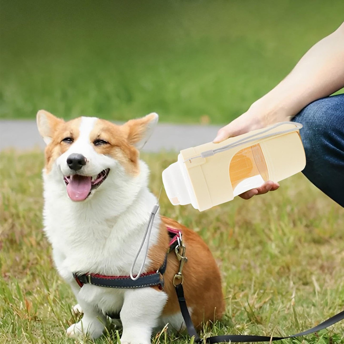 2 In 1 Viaggio Bottiglia d'acqua per cani Animale domestico Distributore d'acqua Alimentatore Alimentatore per bere Alimentatore per acqua di uscita per cani Animali domestici Tazza portatile per esterni Prodotti per animali domestici