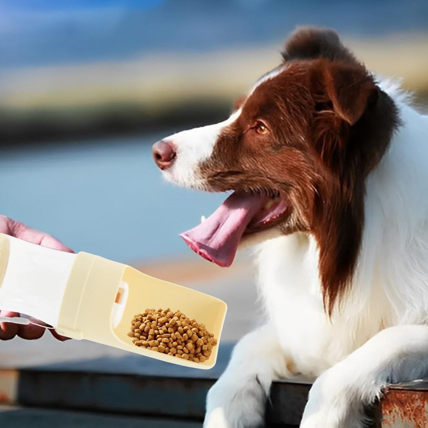 2 In 1 Viaggio Bottiglia d'acqua per cani Animale domestico Distributore d'acqua Alimentatore Alimentatore per bere Alimentatore per acqua di uscita per cani Animali domestici Tazza portatile per esterni Prodotti per animali domestici